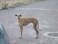Me llamo Cuca