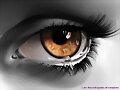 Ojos Negros