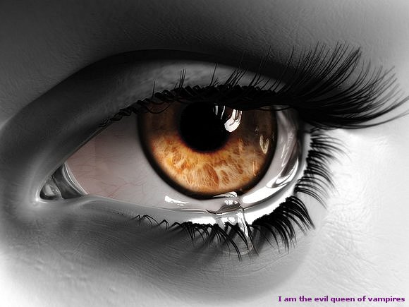 Ojos Negros
