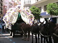 El Rocio 007