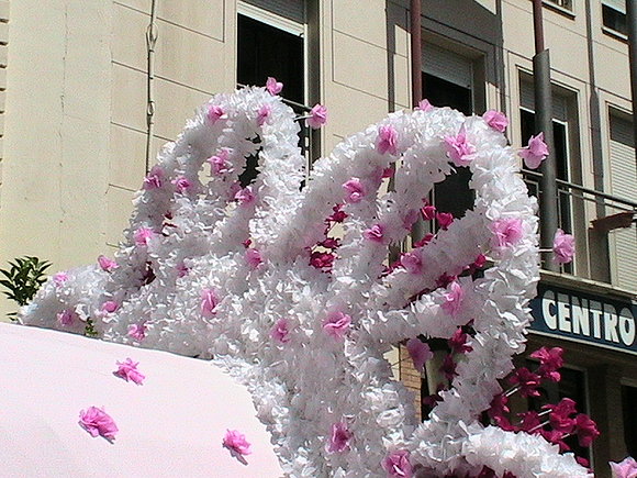 El Rocio 010
