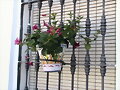 Sanlucar 004