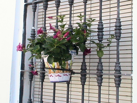 Sanlucar 004