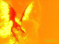 Dragon Heart