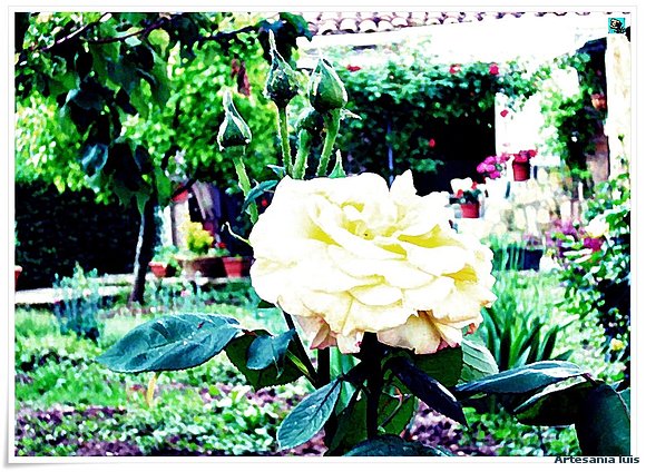 Primavera....