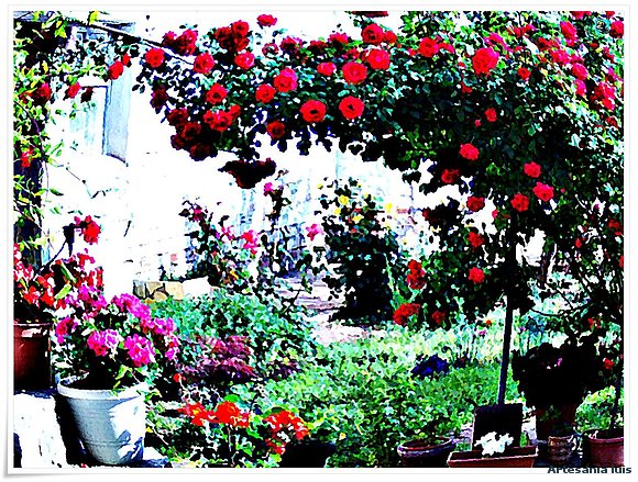 Rosal