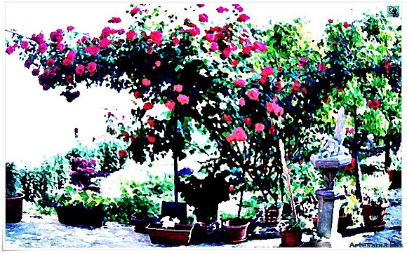 Rosal