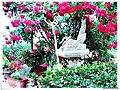 Rosal