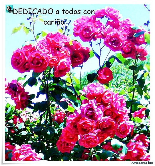 Rosas
