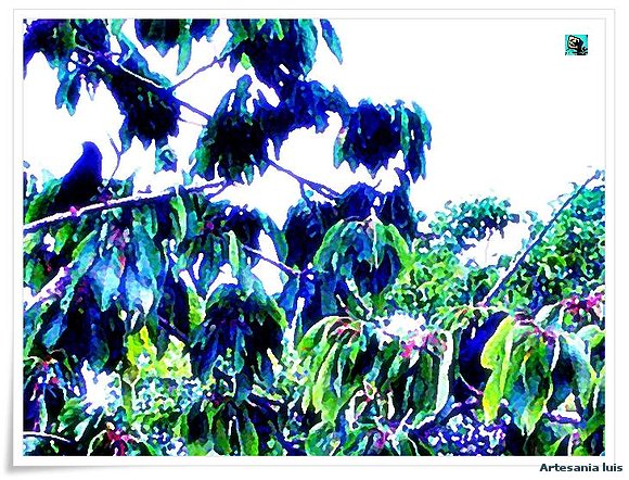 El cerezo del Tordo