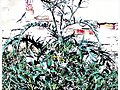 Flor de cardo