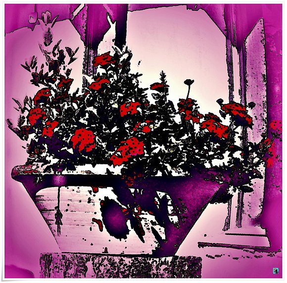 Flores Ocultas