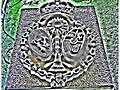 ESCUDO