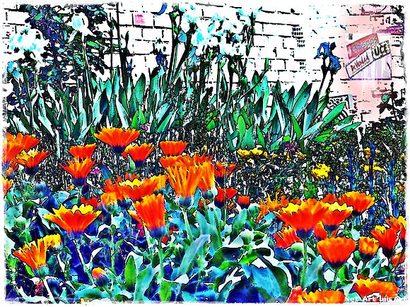 PRIMAVERA ROJA!
