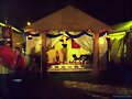 Carpa romana..