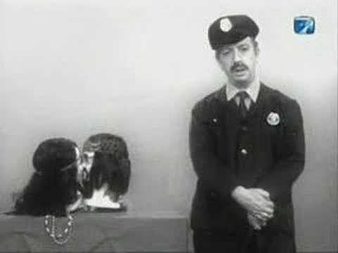 Rock vs. Policia