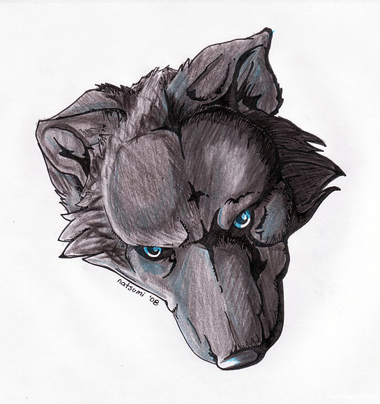 Black furie