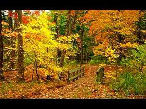 DIA 1 DE NOVIEMBRE DIA DE TODOS LOS SANTOS