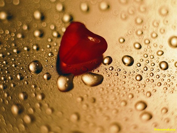 GOTITAS DE AMOR