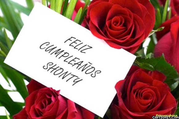 FELICIDADES SHONTY