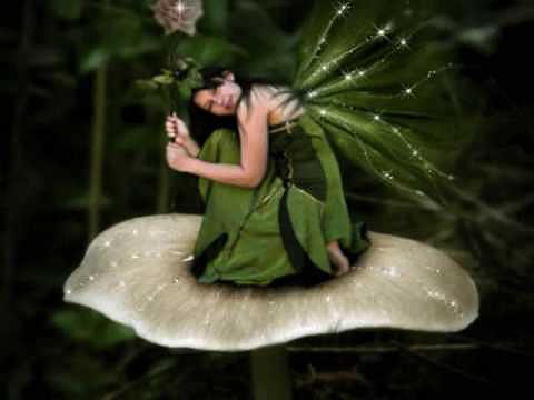 HADAS MAGICAS