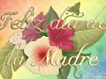 FELICIDADES A TODAS LAS MAMAS