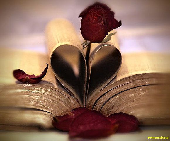 RECETA DEL AMOR