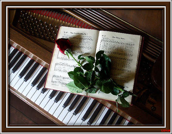 LA MUSICA
