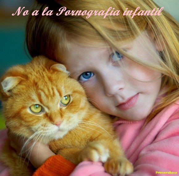 NO A LA PORNOGRAFIA INFANTIL