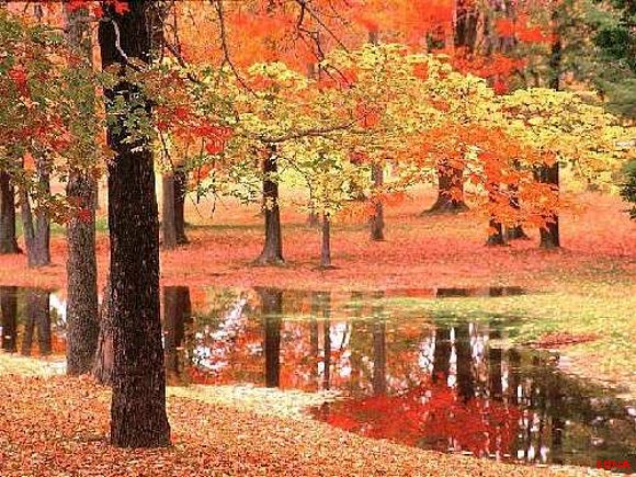LLEGA EL OTOÑO