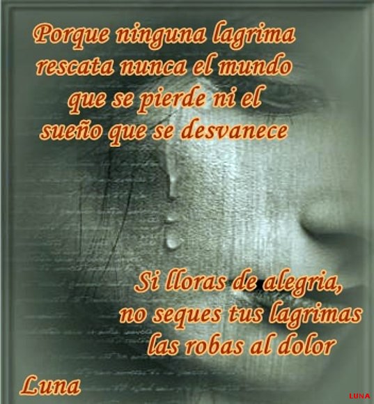 SENTIMIENTOS