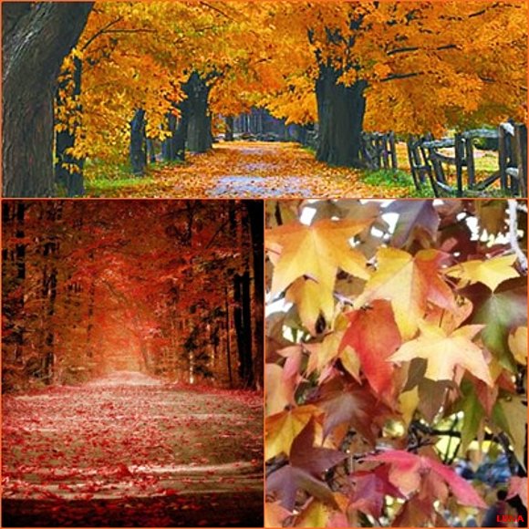 OTOÑO