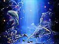 PISCIS  DEL  19/2 AL 19/3