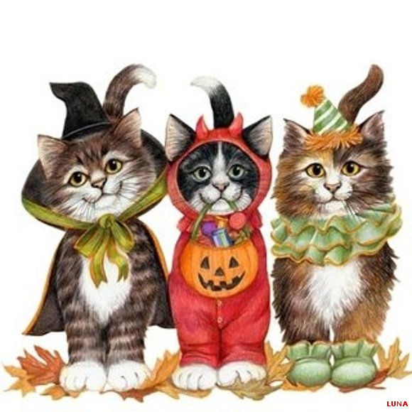 LOS GATOS NEGROS DE HALLOWENN