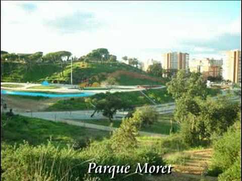 SERGI DALMA &quot; PREGHERO &quot;
