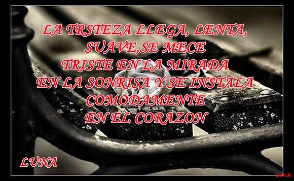 MIS SENTIMIENTOS