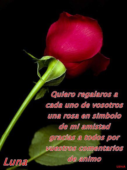 A TODOS, A VOSOTROS