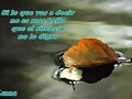 TU HAS PERDIDO