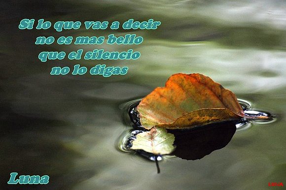 TU HAS PERDIDO