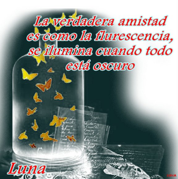 SE HA PERDIDO UN POEMA