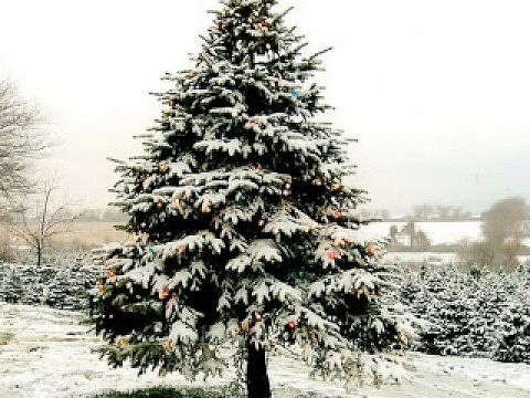 JOHN LENNON &quot;HAPPY CHRISTMAS&quot;