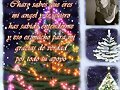 FELIZ NAVIDAD CHARO (Mujerdelmar)