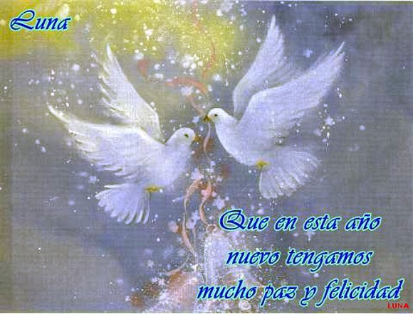 PAZ AMOR Y FELICIDAD PARA ESTE AÑO NUEVO 2009