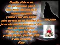 FELIZ A&Ntilde;O NUEVO LOBO