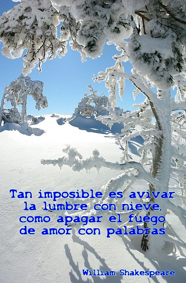 LA NIEVE