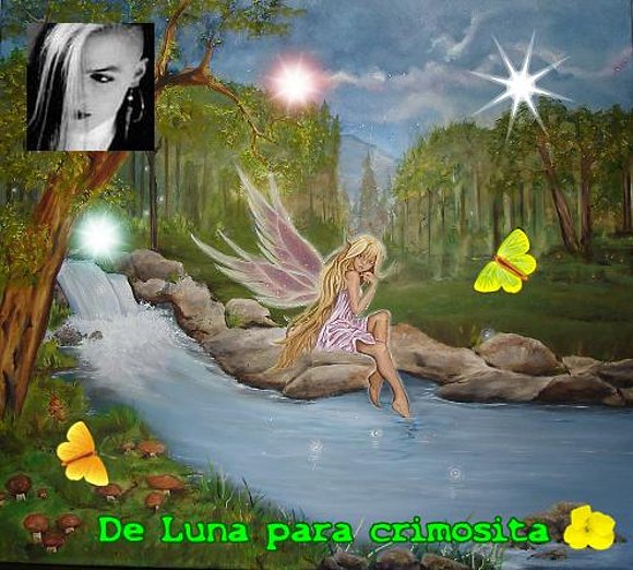CRIMOSITA