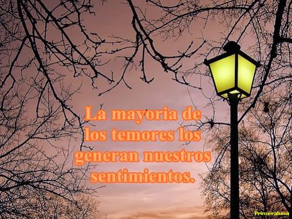 LA LUZ DE LA NOCHE