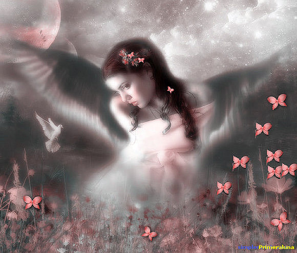 MAGIA