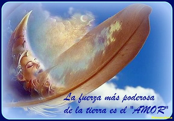 GRACIAS NOEMI