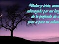 LA LUNA Y SUS SENTIMIENTOS
